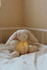 Load image into Gallery viewer, Bunny Ted Led Lamp - Cameo Rose