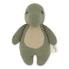 New Born Baby Gift - Green Dino (for baby 0M +)