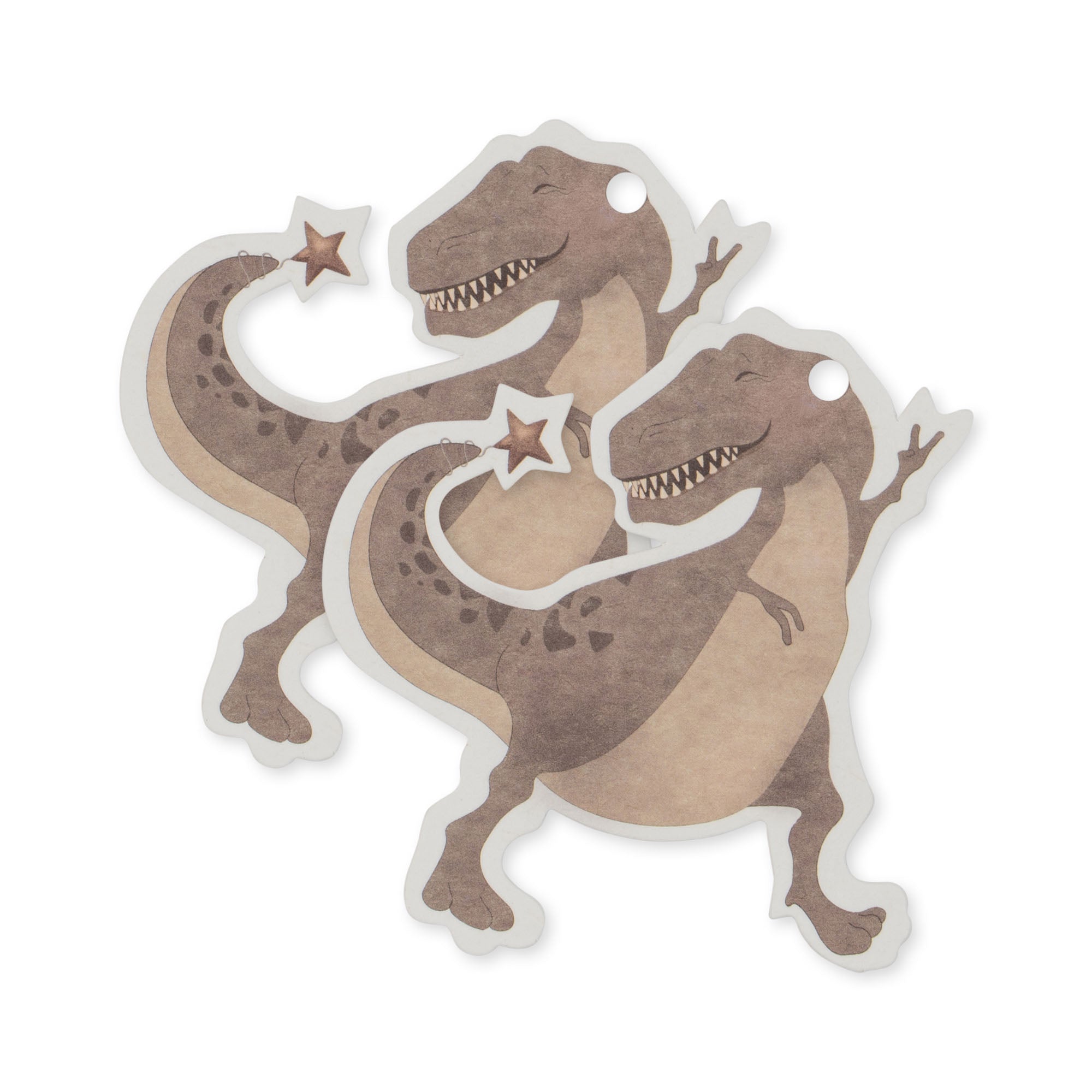 12 Pack Gift Tags - Dino